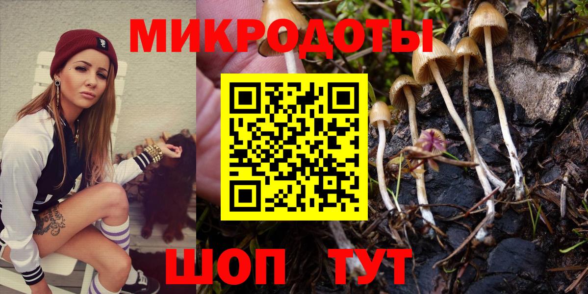 Галлюциногенные грибы Psilocybine cubensis Кинель
